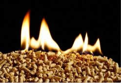 Wood Pellets Made in the USA